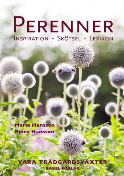 Perenner