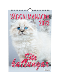 Söta Kattungar 2023