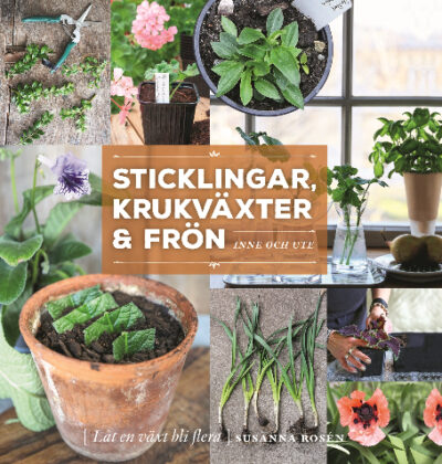 Sticklingar, krukväxter & frön