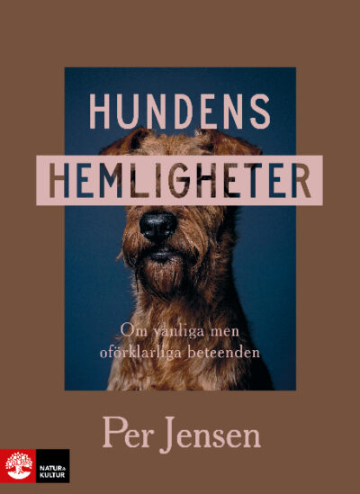 Hundens hemligheter